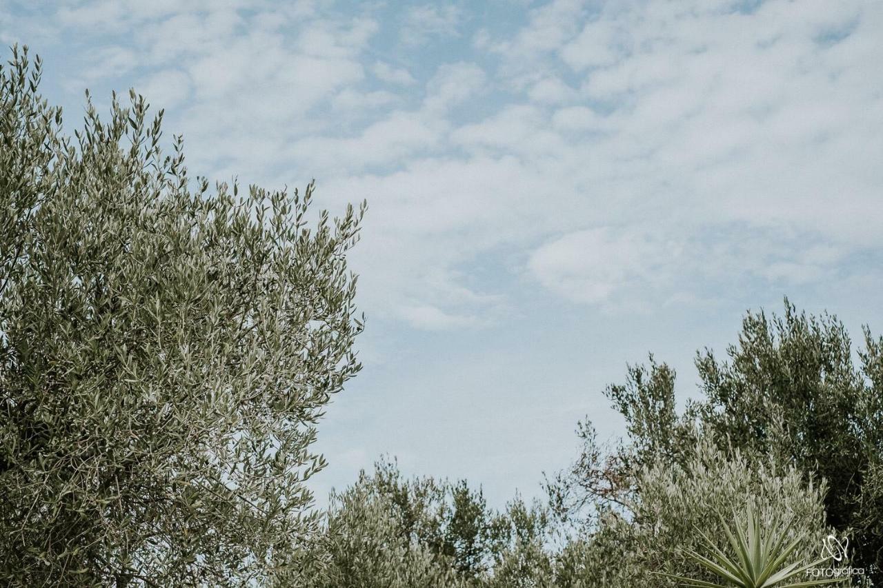 B&B Tenuta La Cornula San Donato di Lecce Exterior foto